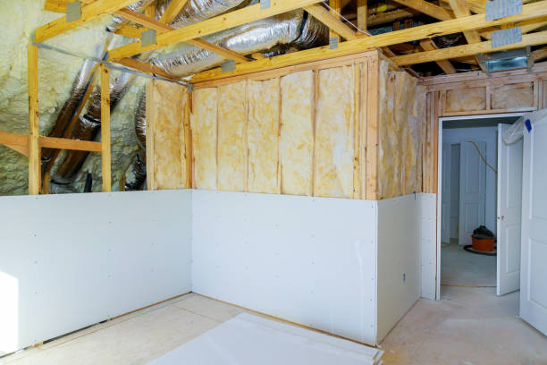 Best Cellulose Insulation  in Knoxvle, IL