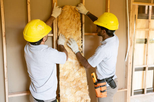 Best Energy-efficient Insulation  in Knoxvle, IL