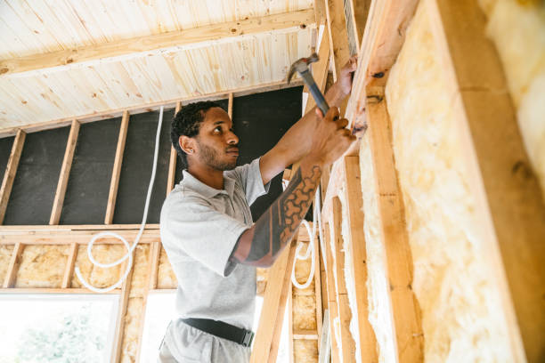 Best Fiberglass Insulation  in Knoxvle, IL