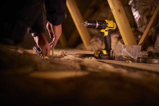 Best Insulation Replacement Services  in Knoxvle, IL