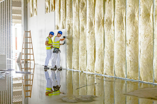 Best Attic Insulation Installation  in Knoxvle, IL